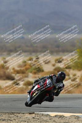 media/Apr-10-2022-SoCal Trackdays (Sun) [[f104b12566]]/Turn 5 Tree of Life (1040am)/